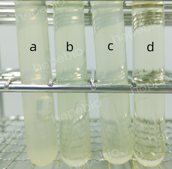 肉汤培养基D微生物质控结果