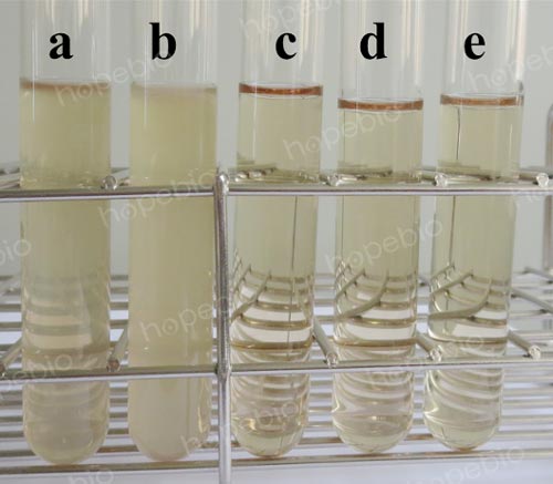 氯化钠结晶紫增菌液微生物质控结果