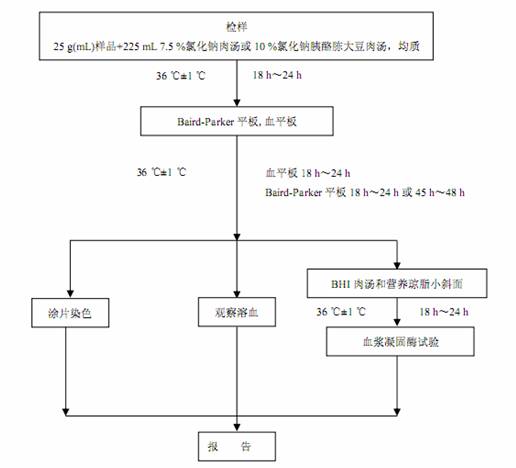 金黄色葡萄球菌检验程序