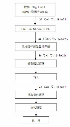 阪崎肠杆菌检验程序