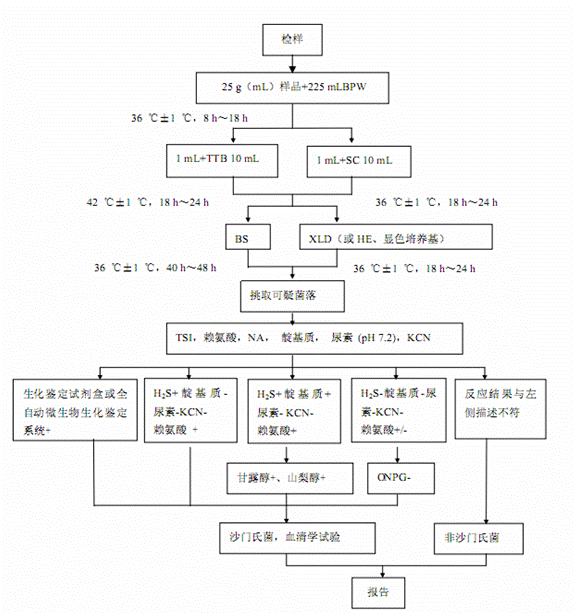 沙门氏菌检验程序