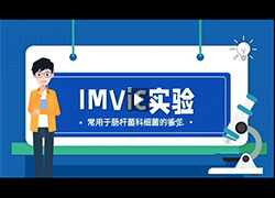 操作视频｜IMViC实验