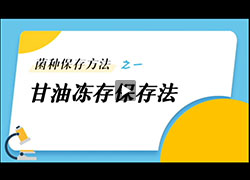 操作视频｜甘油冻存保存法操作视频