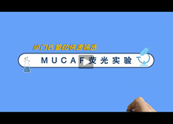 操作视频｜MUCAP实验